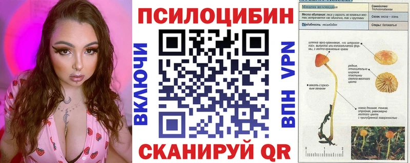 цена наркотик  Почеп  Галлюциногенные грибы мухоморы 